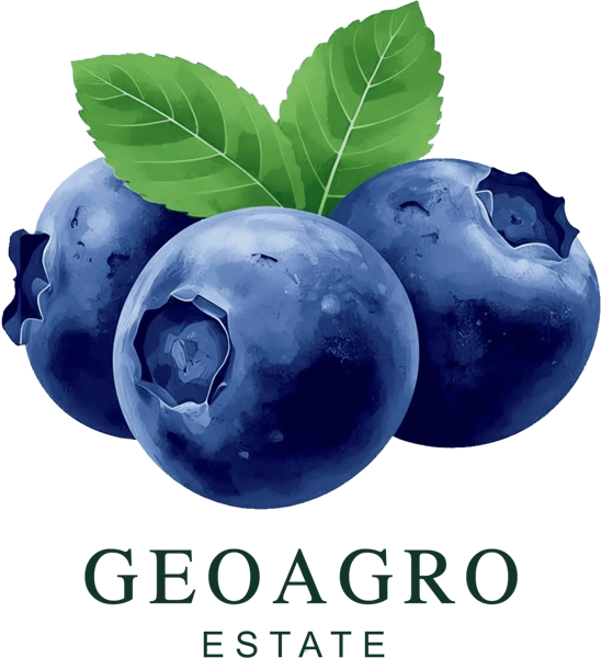 GeoAgro Estate logo